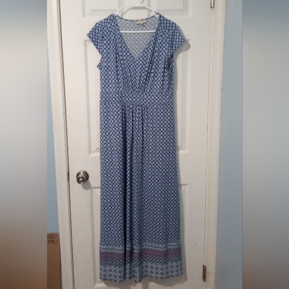 Dana Buchman Blue and Pink Patterned Maxi Dress